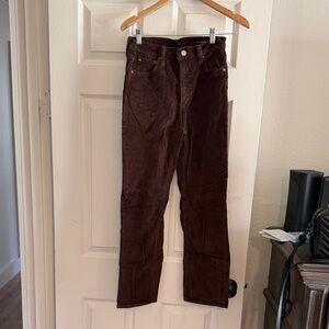 Aritzia Denim Forum Chocolate Corduroy Trousers